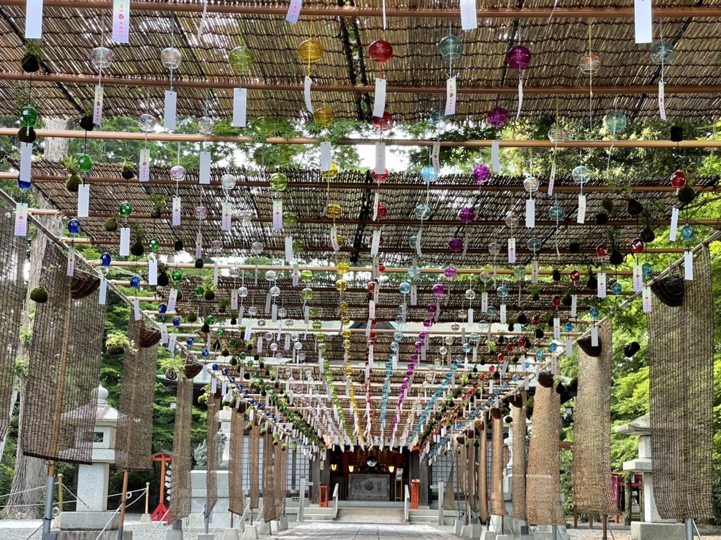 夏詣